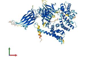 AlphaFold protein structure predicition of Human Recombinant RASA3 Protein, UniprotID Q14644 (RASA3 Protein (AA 1-834) (His tag))