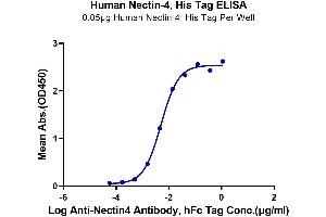 Immobilized Human Nectin-4 at 0. (PVRL4 Protein (AA 32-351) (His-Avi Tag))