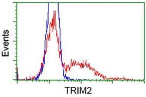 HEK293T cells transfected with either RC203947 overexpress plasmid (Red) or empty vector control plasmid (Blue) were immunostained by anti-TRIM2 antibody (ABIN2453856), and then analyzed by flow cytometry. (TRIM2 antibody  (AA 1-100, AA 645-744))