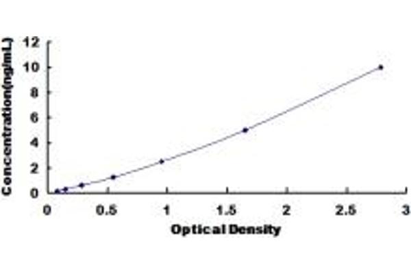 Chordin ELISA Kit