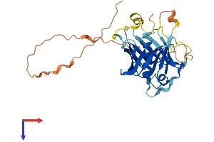 PLSCR2 Protein (AA 1-297) (His tag)