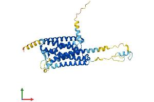 AlphaFold protein structure predicition of Human Recombinant GPR85 Protein, UniprotID P60893 (GPR85 Protein (AA 1-370) (His tag))