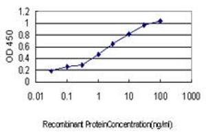 Detection limit for recombinant GST tagged PDE2A is approximately 0. (PDE2A antibody  (AA 850-940))