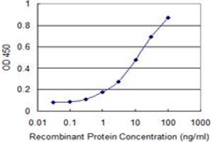 Detection limit for recombinant GST tagged RBM3 is 0. (RBM3 antibody  (AA 1-80))