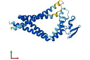AlphaFold protein structure predicition of Human Recombinant TSPAN8 Protein, UniprotID P19075 (Tspan-8 Protein (AA 1-237) (His tag))