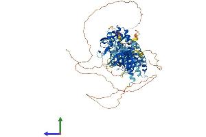 Protein Structure (PS) image for FYVE, RhoGEF and PH Domain Containing 4 (FGD4) (AA 1-766) protein (His tag) (ABIN7564837)