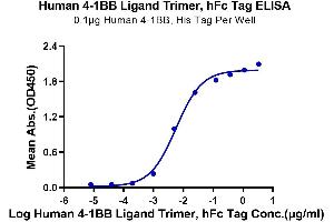 Immobilized Human 4-1BB, His Tag at 1 μg/mL (100 μL/Well) on the plate. (TNFSF9 Protein (AA 71-254, Trimer) (Fc Tag))