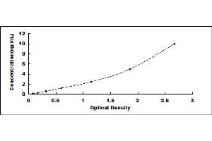 CCDC80 ELISA Kit