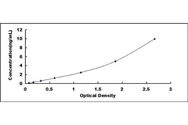 CCDC80 ELISA Kit