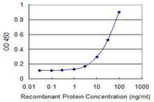 Detection limit for recombinant GST tagged FOXC2 is 1 ng/ml as a capture antibody. (FOXC2 antibody  (AA 156-256))