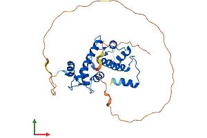 AlphaFold protein structure predicition of Human Recombinant PEF1 Protein, UniprotID Q9UBV8