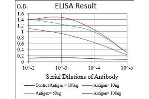 Black line: Control Antigen (100 ng), Purple line: Antigen(10 ng), Blue line: Antigen (50 ng), Red line: Antigen (100 ng), (CD68 antibody  (AA 42-155))