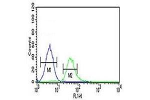 TCF4 antibody flow cytometric analysis of K562 cells (green) compared to a negative control (blue). (TCF4 antibody  (AA 48-73))
