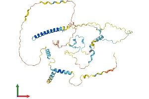 AlphaFold protein structure predicition of Human Recombinant WASH4P Protein, UniprotID A8MWX3 (WASH4P Protein (AA 1-477) (His tag))