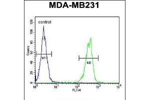 Flow cytometric analysis of MDA-MB231 cells (right histogram) compared to a negative control cell (left histogram). (CYP2A7 antibody  (AA 121-148))