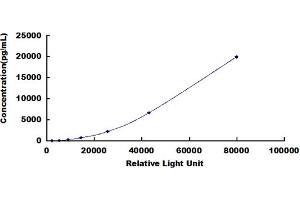 Typical standard curve (MMP2 CLIA Kit)