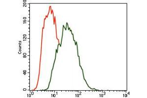 Image no. 4 for anti-MAP/microtubule Affinity-Regulating Kinase 3 (MARK3) antibody (ABIN1491518) (MARK3 antibody)