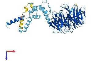 FBXW2 Protein (AA 1-454) (His tag)