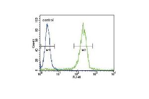 SOCS1 Antibody (N-term) (ABIN652738 and ABIN2842489) flow cytometric analysis of WiDr cells (right histogram) compared to a negative control cell (left histogram). (SOCS1 antibody  (N-Term))