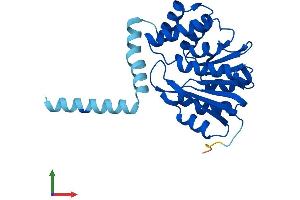AlphaFold protein structure predicition of Mouse Recombinant Comt Protein, UniprotID O88587 (COMT Protein (AA 1-265) (His tag))