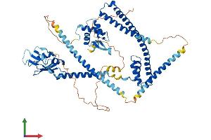 Protein Structure (PS) image for Ecto-NOX Disulfide-Thiol Exchanger 2 (ENOX2) (AA 1-610) protein (His tag) (ABIN7553815)