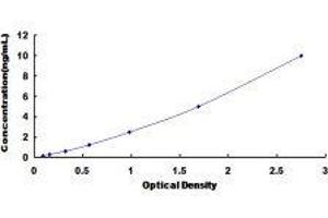 Protein Kinase C, delta (PKCd) ELISA Kit