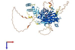 Protein Phosphatase 2C-Like Domain Containing 1 (PP2D1) (AA 1-630) protein (His tag)