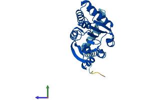 AlphaFold protein structure predicition of Mouse Recombinant Comt Protein, UniprotID O88587 (COMT Protein (AA 1-265) (His tag))