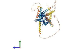 AlphaFold protein structure predicition of Mouse Recombinant Gpr161 Protein, UniprotID B2RPY5