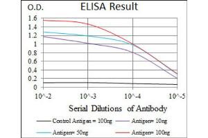 Red: Control Antigen (100ng) ; Purple: Antigen (10ng) ; Green: Antigen (50ng) ; Blue: Antigen (100ng). (CEBPA antibody)
