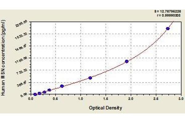 Moesin ELISA Kit
