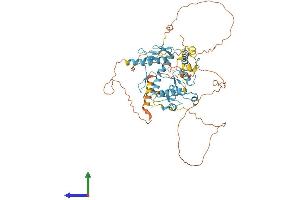AlphaFold protein structure predicition of Human Recombinant ZNF8 Protein, UniprotID P17098 (ZNF8 Protein (AA 1-575) (His tag))