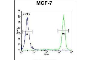 Flow cytometric analysis of MCF-7 cells (right histogram) compared to a negative control cell (left histogram). (SEL1L antibody  (AA 156-182))