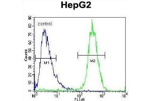 TYROBP Antibody (C-term) flow cytometric analysis of HepG2 cells (right histogram) compared to a negative control cell (left histogram). (TYROBP antibody  (C-Term))