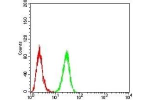 anti-V-Erb-A erythroblastic Leukemia Viral Oncogene Homolog 4 (Avian) (ERBB4) (AA 1159-1308) antibody