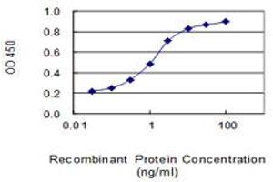 Detection limit for recombinant GST tagged NDUFA4 is 0. (NDUFA4 antibody  (AA 1-81))