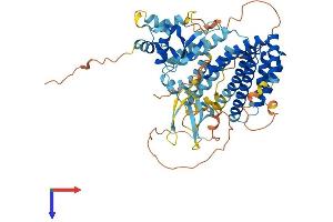 AlphaFold protein structure predicition of Human Recombinant RFX8 Protein, UniprotID Q6ZV50