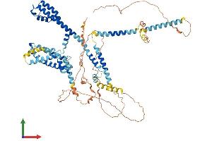 AlphaFold protein structure predicition of Human Recombinant KCNQ4 Protein, UniprotID P56696