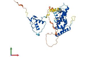 Protein Structure (PS) image for Nuclear Receptor Subfamily 2, Group E, Member 1 (NR2E1) (AA 1-385) protein (His tag) (ABIN7557808)