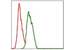 Flow Cytometry (FACS) image for anti-Neural Precursor Cell Expressed, Developmentally Down-Regulated 8 (NEDD8) antibody (ABIN1108403) (NEDD8 antibody)