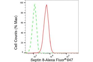 Flow cytometric analysis of Septin 8 expression in C2C12 cells using Septin 8 antibody (ABIN7800297), 1:2,000). (Recombinant Septin 8 antibody)