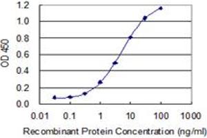 Detection limit for recombinant GST tagged MFAP3 is 0. (MFAP3 antibody  (AA 262-362))