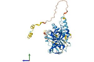 AlphaFold protein structure predicition of Human Recombinant NCF1B Protein, UniprotID A6NI72 (NCF1B Protein (AA 1-391) (His tag))
