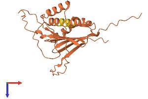 Chromosome 11 Open Reading Frame 40 (C11ORF40) (AA 1-217) protein (His tag)