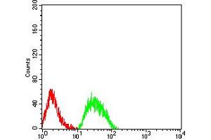 Flow cytometric analysis of SK-N-SH cells using CHRNE mouse mAb (green) and negative control (red). (CHRNE antibody  (AA 28-163))