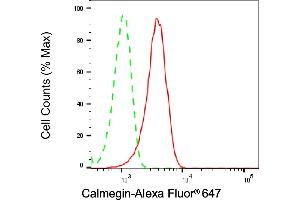 Flow cytometric analysis of Calmegin expression in HeLa cells using Calmegin antibody (ABIN7797841), 1:2,000).