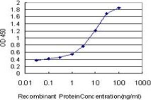 Detection limit for recombinant GST tagged DAO is approximately 0. (D Amino Acid Oxidase antibody  (AA 119-218))