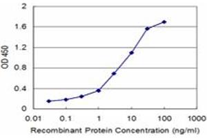 Detection limit for recombinant GST tagged HOXB5 is approximately 0. (HOXB5 antibody  (AA 170-267))