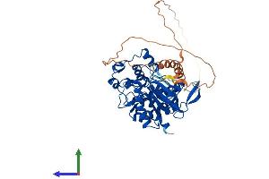 AlphaFold protein structure predicition of Human Recombinant CLK4 Protein, UniprotID Q9HAZ1