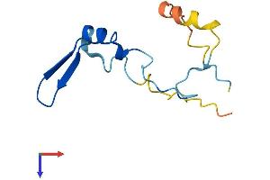 EIF4EBP3 Protein (AA 1-101) (His tag)